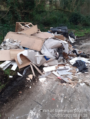 Flytip 4